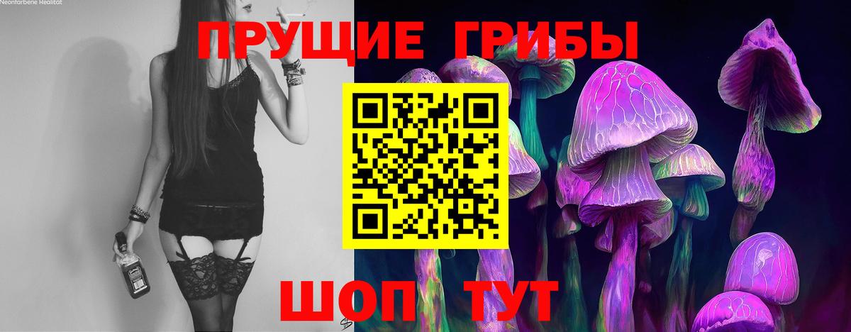 Галлюциногенные грибы GOLDEN TEACHER Березники