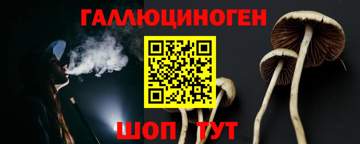 Галлюциногенные грибы Psilocybe  Березники 